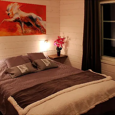 Huvilla - 6+2 Henkiloelle, Himos Areenan Alue, 80m² *